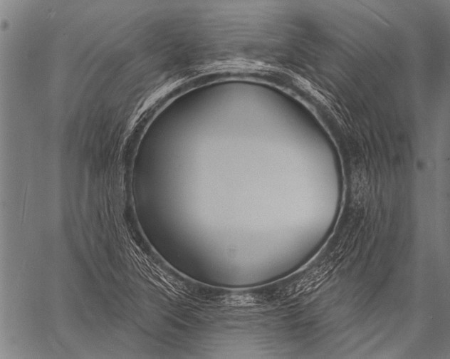 X0000057091315200509301541