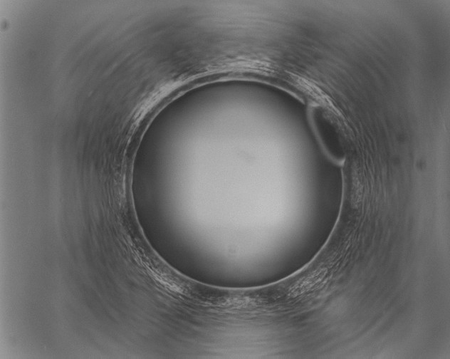 X0000057091316200509301541