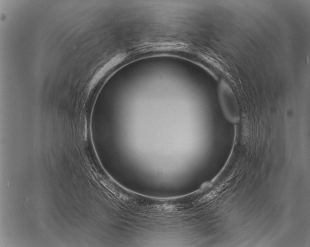 X0000057091317200509301541