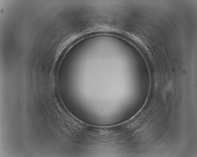 X0000057091318200509301541