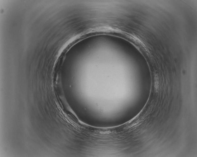 X0000057091326200509301541