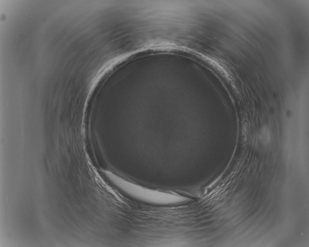 X0000057091327200509301541