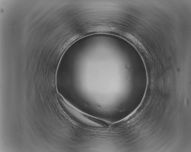 X0000057091329200509301541