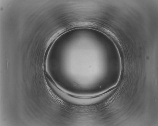 X0000057091330200509301541