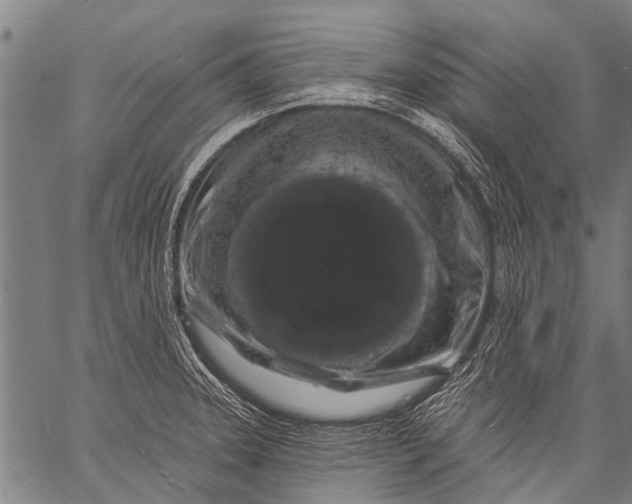 X0000057091331200509301541