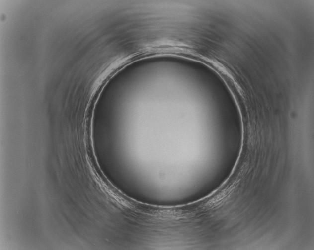 X0000057091333200509301541