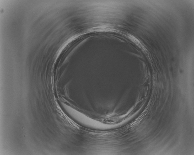 X0000057091334200509301541