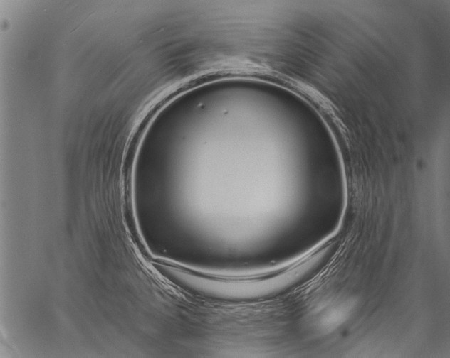 X0000057091335200509301541