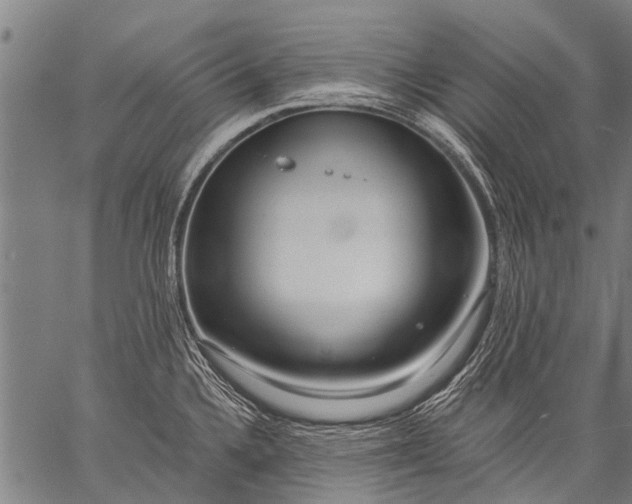 X0000057091336200509301541