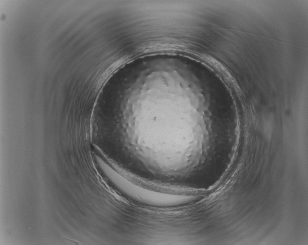 X0000057091337200509301541