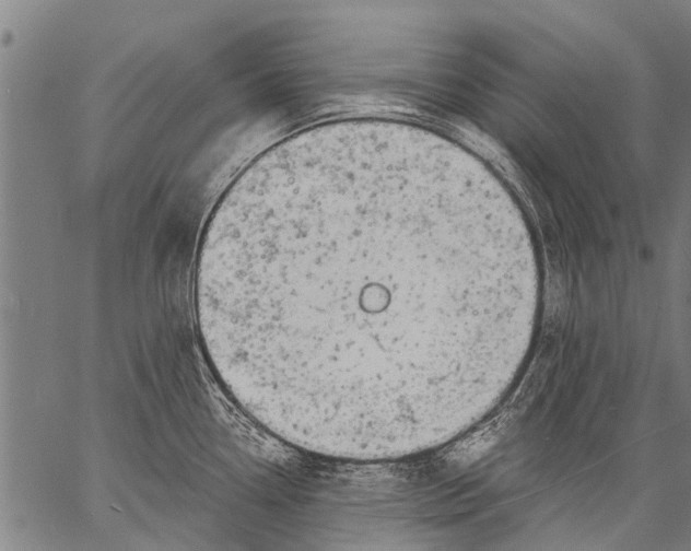 X0000057091338200509301541