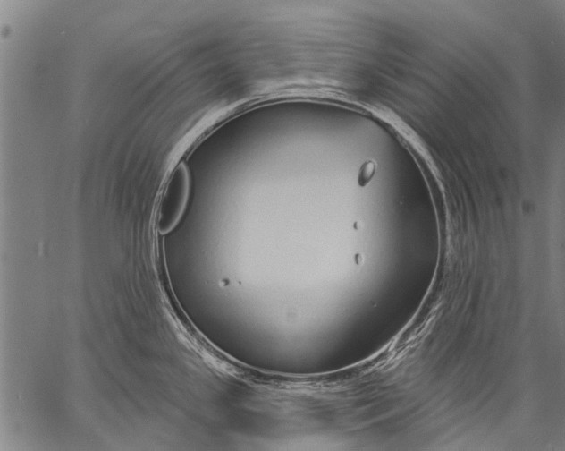 X0000057091341200509301541