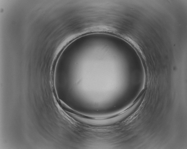 X0000057091342200509301541