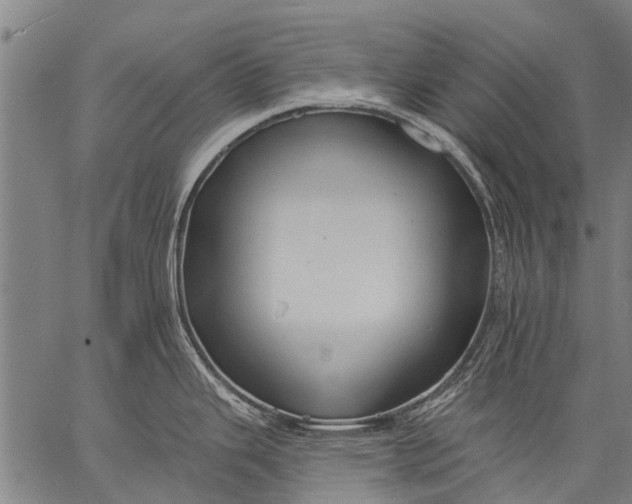 X0000057091343200509301541