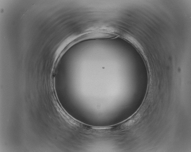 X0000057091344200509301541