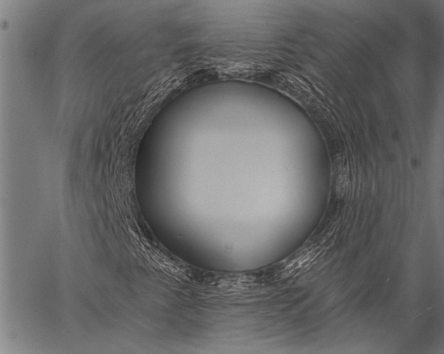 X0000057091345200509301540