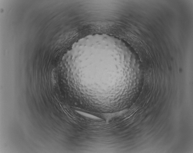 X0000057091346200509301540