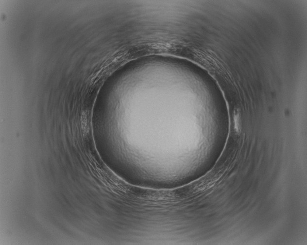 X0000057091347200509301540