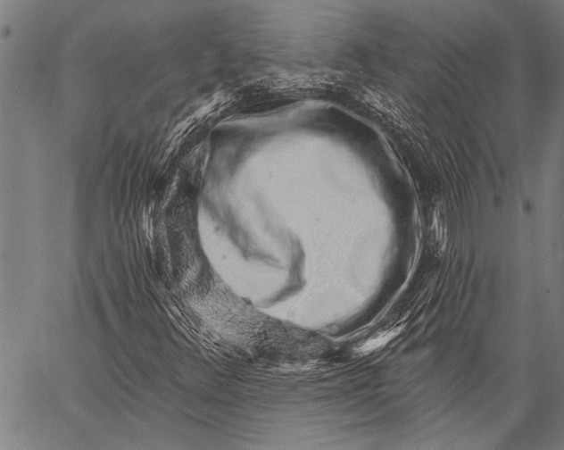 X0000057091348200509301540