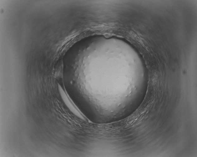 X0000057091350200509301540