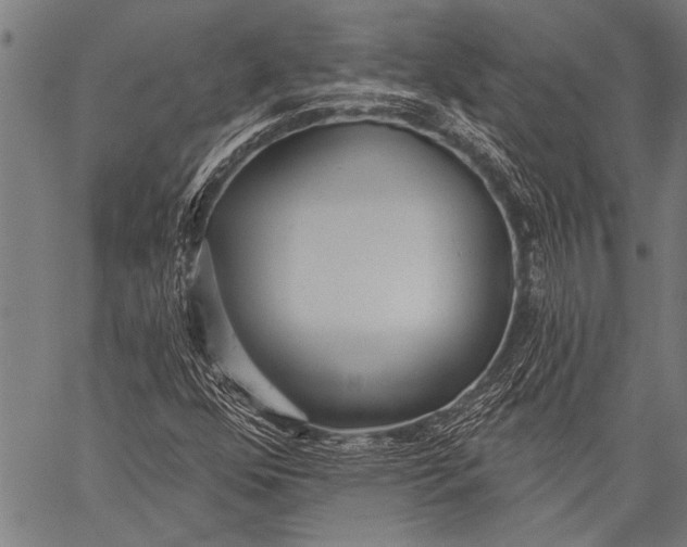 X0000057091352200509301540