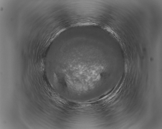 X0000057091353200509301540