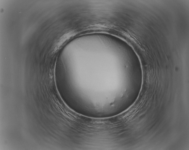 X0000057091355200509301540