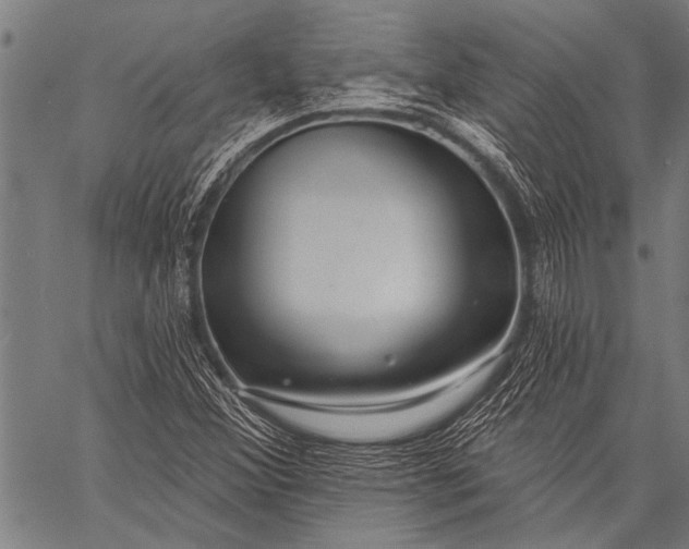 X0000057091356200509301540