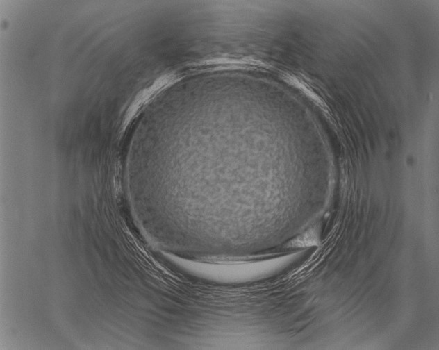 X0000057091357200509301540