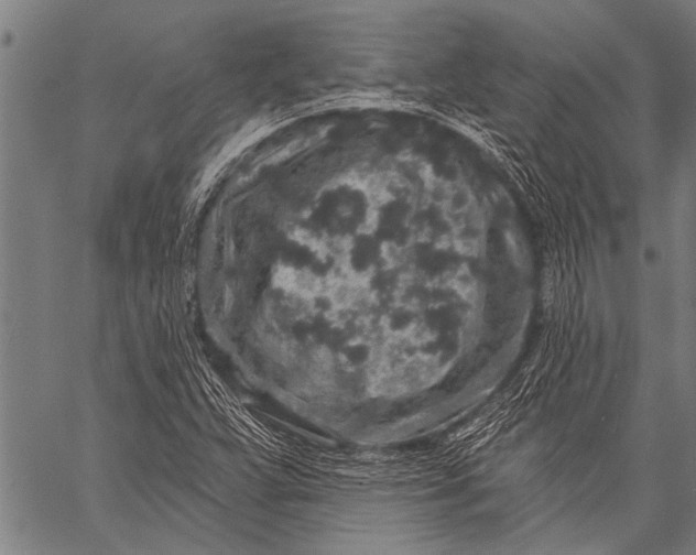 X0000057091359200509301540