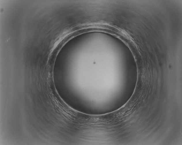 X0000057091360200509301540