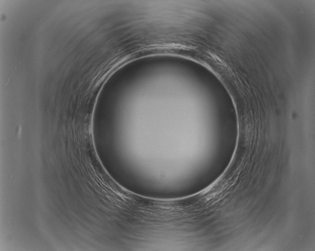 X0000057091361200509301540