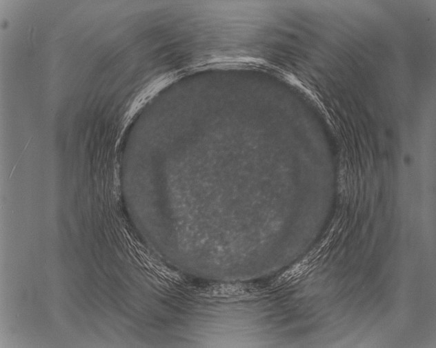 X0000057091362200509301540