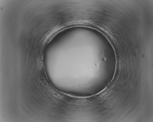 X0000057091363200509301540