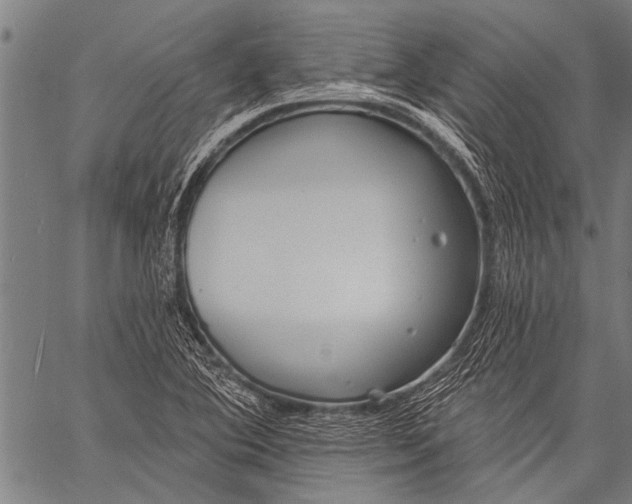 X0000057091364200509301540