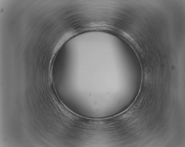 X0000057091370200509301540