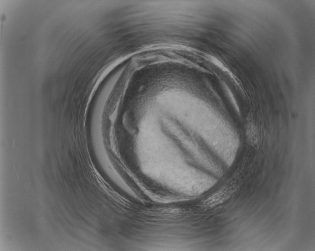 X0000057091372200509301540