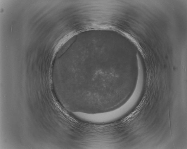 X0000057091373200509301540