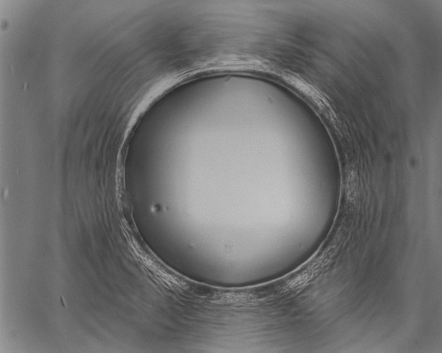 X0000057091374200509301540