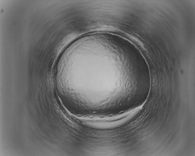 X0000057091375200509301540