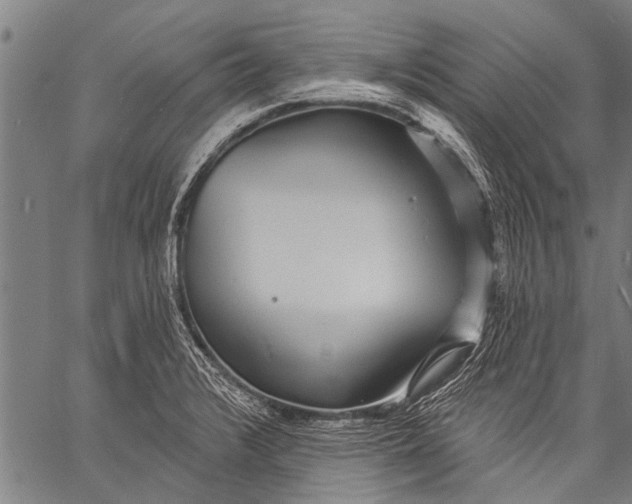 X0000057091376200509301540