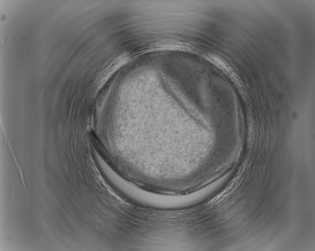 X0000057091377200509301540