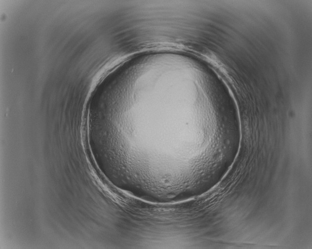 X0000057091379200509301540