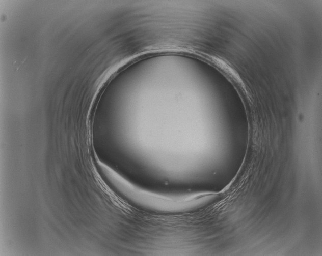 X0000057091380200509301540