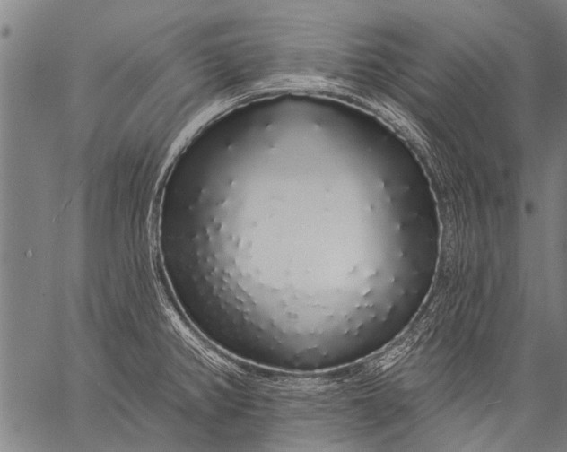 X0000057091382200509301540