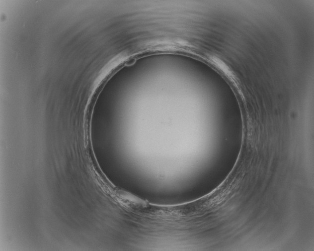 X0000057091384200509301540