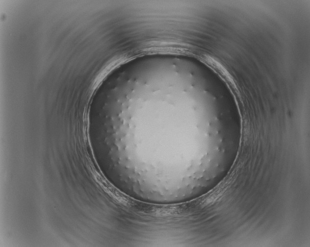 X0000057091386200509301540