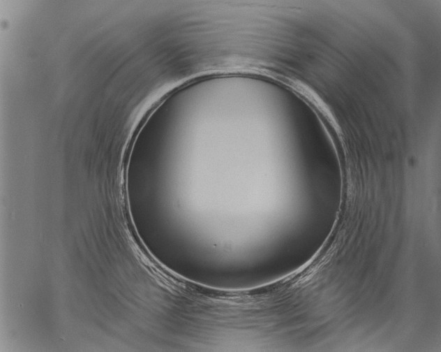 X0000057091388200509301540