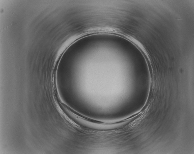 X0000057091389200509301540