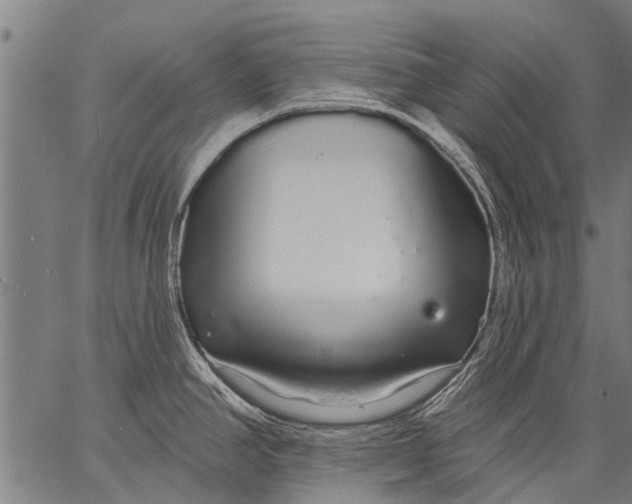 X0000057091390200509301540